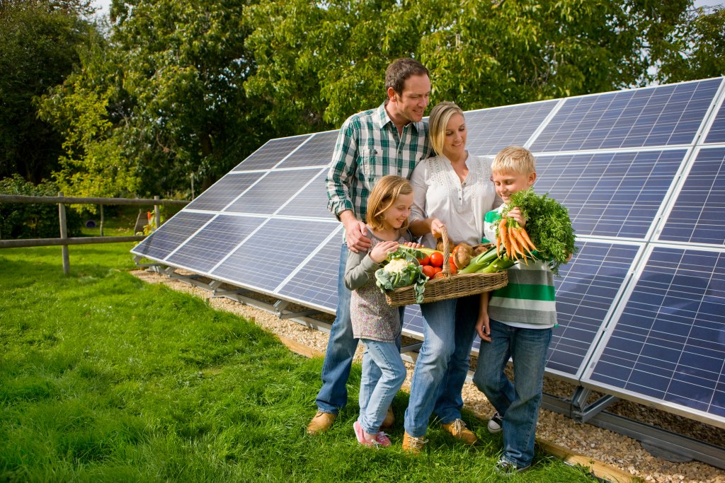 What is agrivoltaics or agrosolar