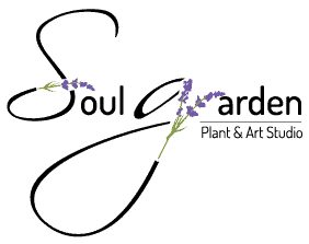 Solar Plus Garden logo featuring a stylized plant and garden design.