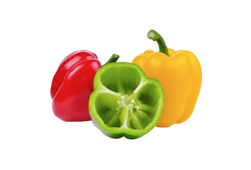 Vibrant red, yellow, and green bell peppers growing in a lush garden environment.