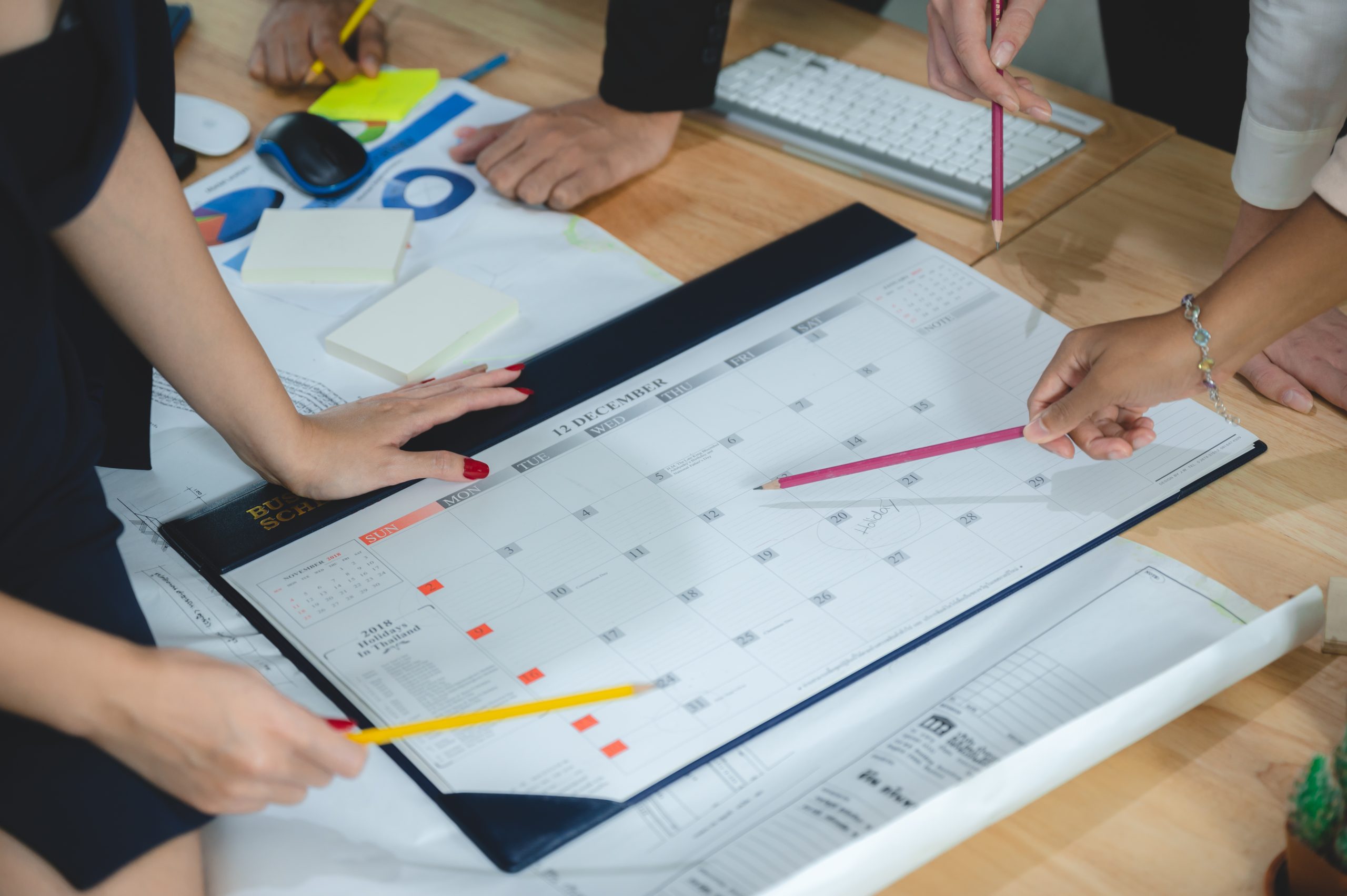 Project phase roadmap