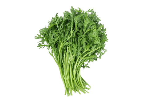 Fresh green celery stalks, ideal for salads and healthy recipes.