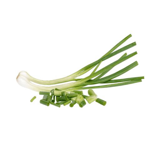 Fresh green onion with chopped pieces on a transparent background.