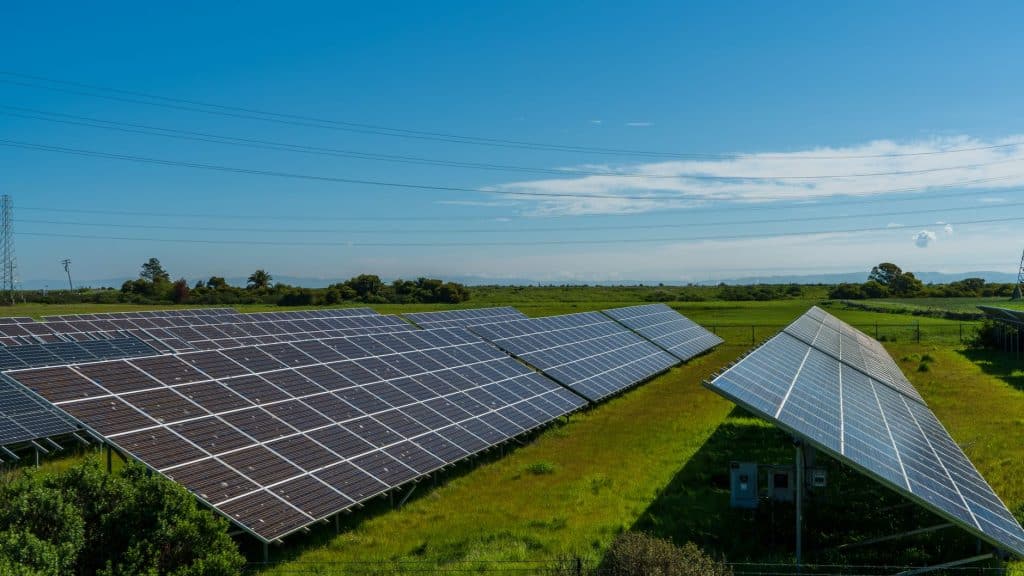 Solar panels in a lush rural field, generating renewable energy in San Rafael, CA.