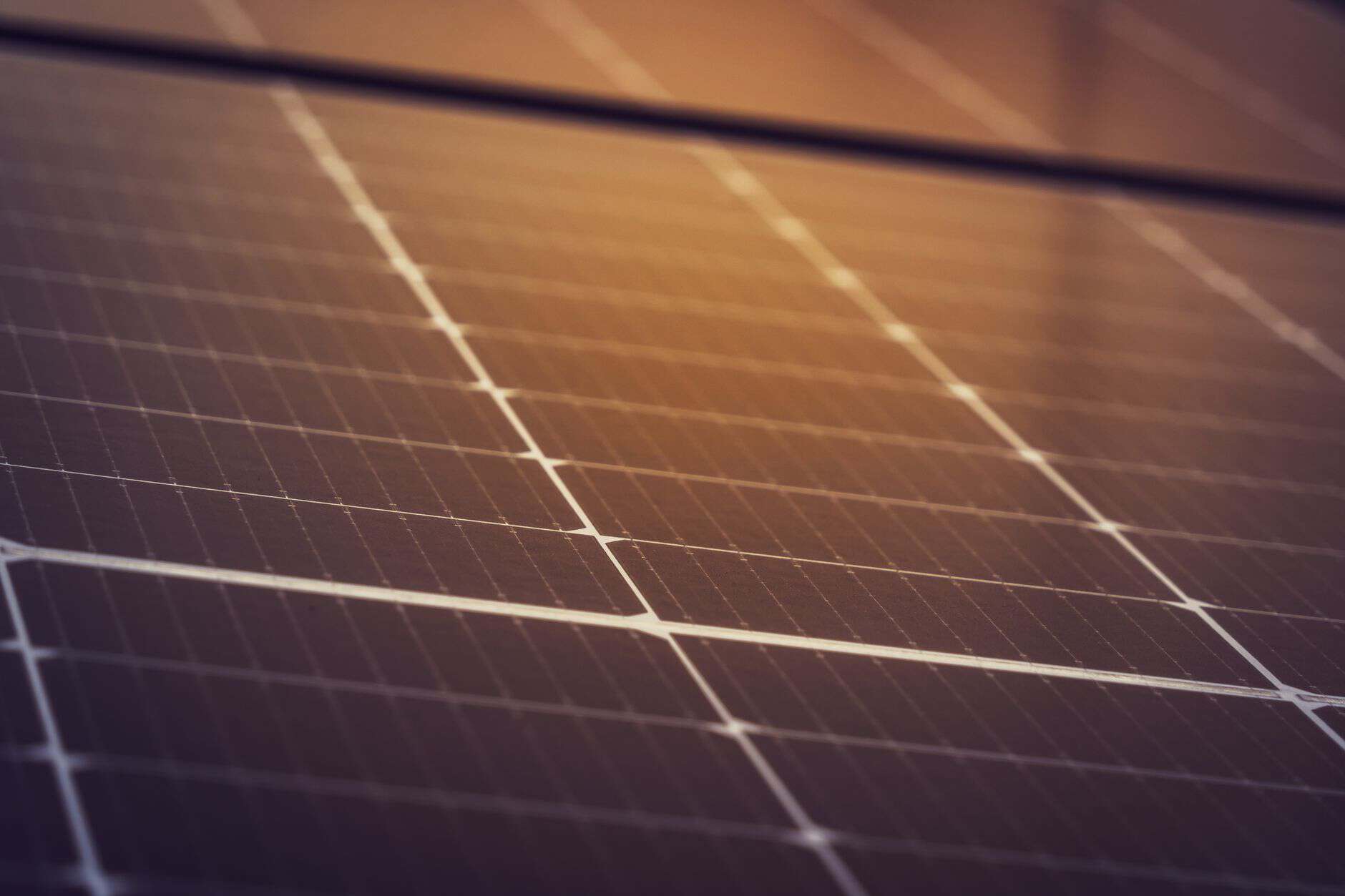 Close-up of solar panels for renewable energy at Solar Plus Garden.