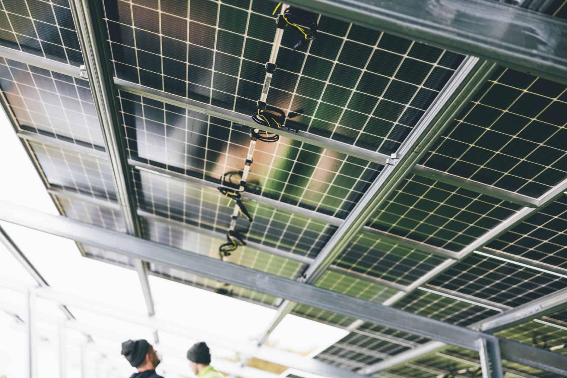 Solar panels installed on a greenhouse roof for renewable energy generation.