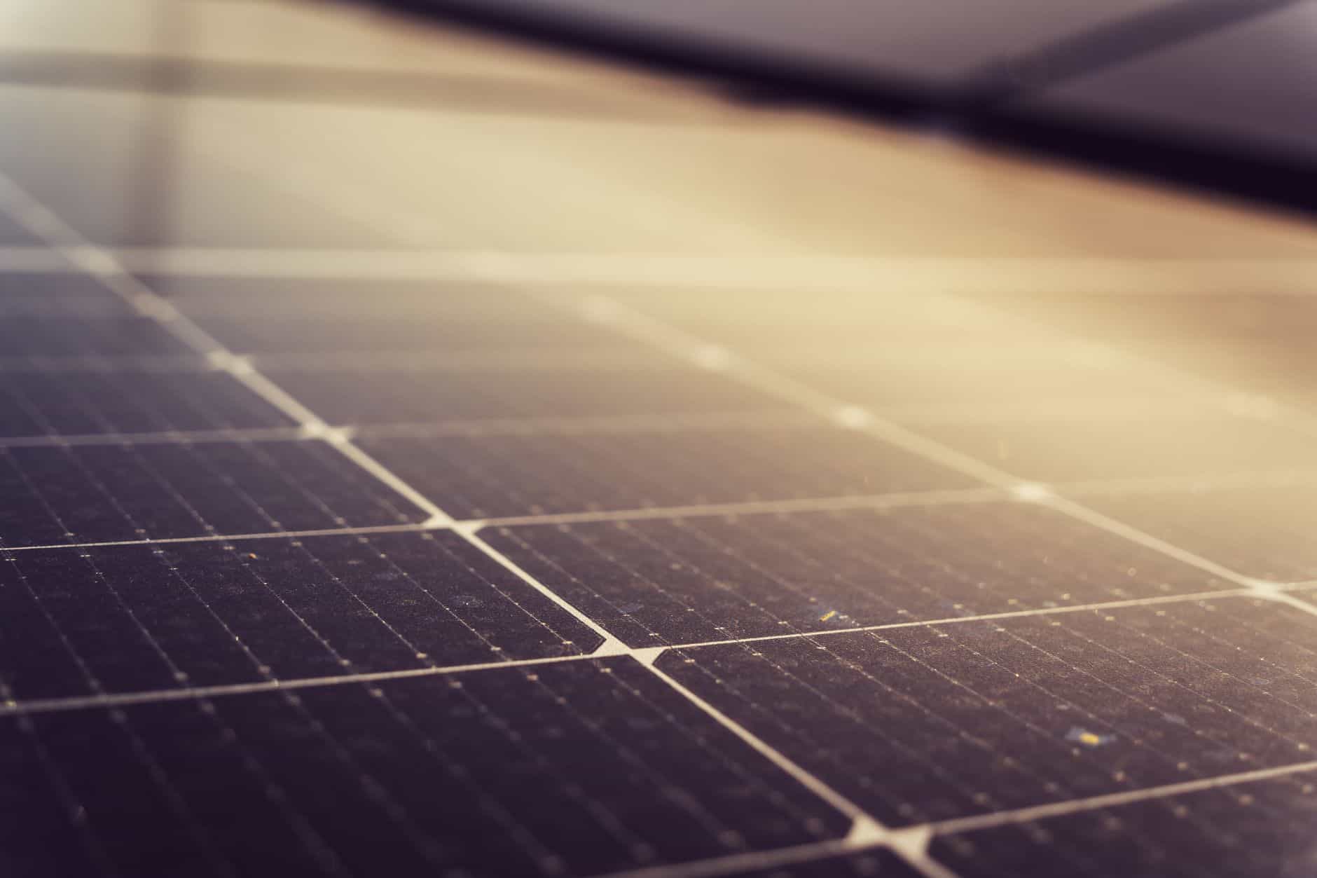 Close-up of solar panels for renewable energy at Solar Plus Garden.