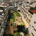 Aerial shot of urban rooftops showcasing green gardens and solar panels, highlighting eco-friendly initiatives.