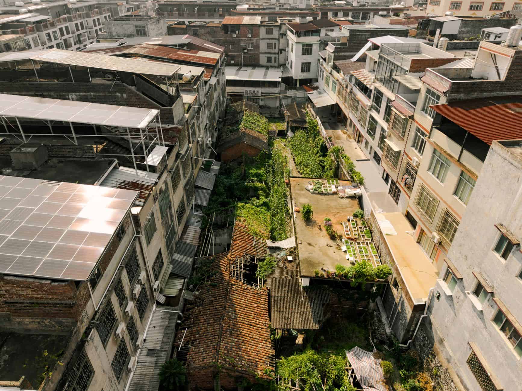 Aerial shot of urban rooftops showcasing green gardens and solar panels, highlighting eco-friendly initiatives.