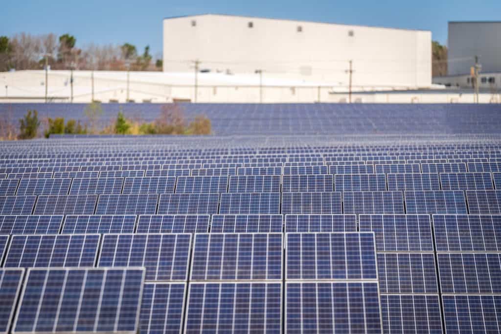 Large solar panel array on a sunny day at Solar Plus Garden.
